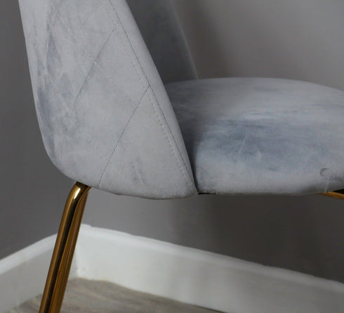 Native Home Lifestyle Velvet Dining Chairs - Gold Legs (Set Of 2)