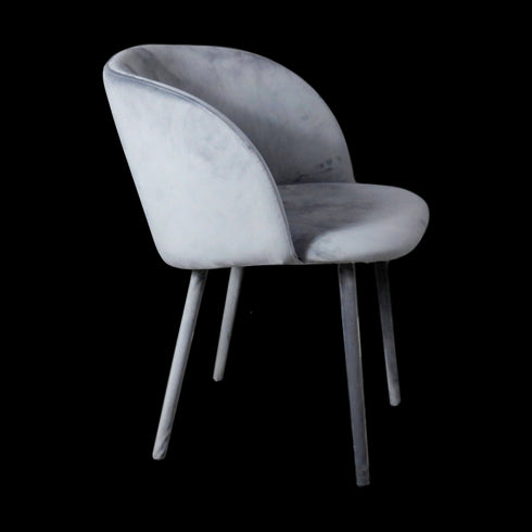 Native Home Lifestyle Velvet Covered Dining Chairs (Set Of 2)