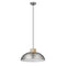 Pendant Luminaire In Satin Nickel LL00060