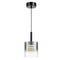 Pendant luminaire in Black LL00183