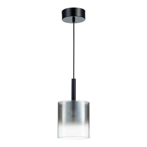 Pendant luminaire in Black LL00183