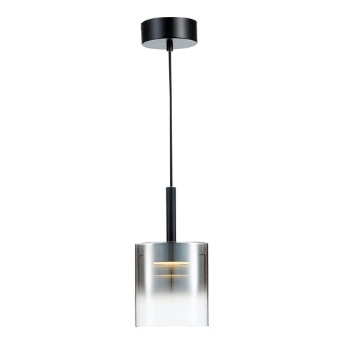 Pendant luminaire in Black LL00183