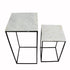 Native Home Lifestyle Marble Display Tables (Set Of 2)