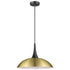 Pendant Luminaire In Antique Brass And Matt Black LL00195