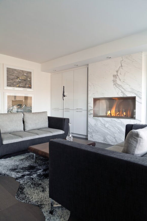 Ecosmart Fire Flex 50SS Single Sided Fireplace Insert - Black Finish / Black Burner - ESF.FX.50SS.B