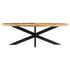 Rustika Rowe - Dining Table 240x100x75 cm Rough Mango Wood