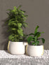 Blinde Design Stitch 100 Concrete Planter - Bone Finish - BLD.1.P.STI.100.Y.BO