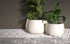 Blinde Design Stitch 125 Concrete Planter - Natural Finish - BLD.1.P.STI.125.Y.NA